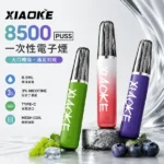 一次性電子煙-梟客XIAOKE-8500